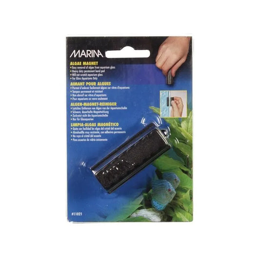 Marina Algae Magnet - Small