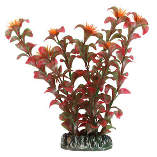 Betta Choice Plastic 20cm Red Plant