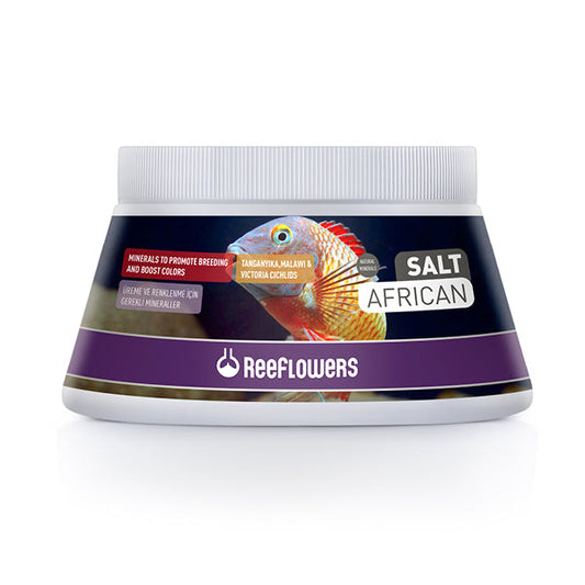 Reeflowers Salt African - Available In 2 Sizes