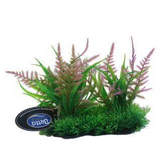 Betta Choice 6" Pink Fern Foregrounder