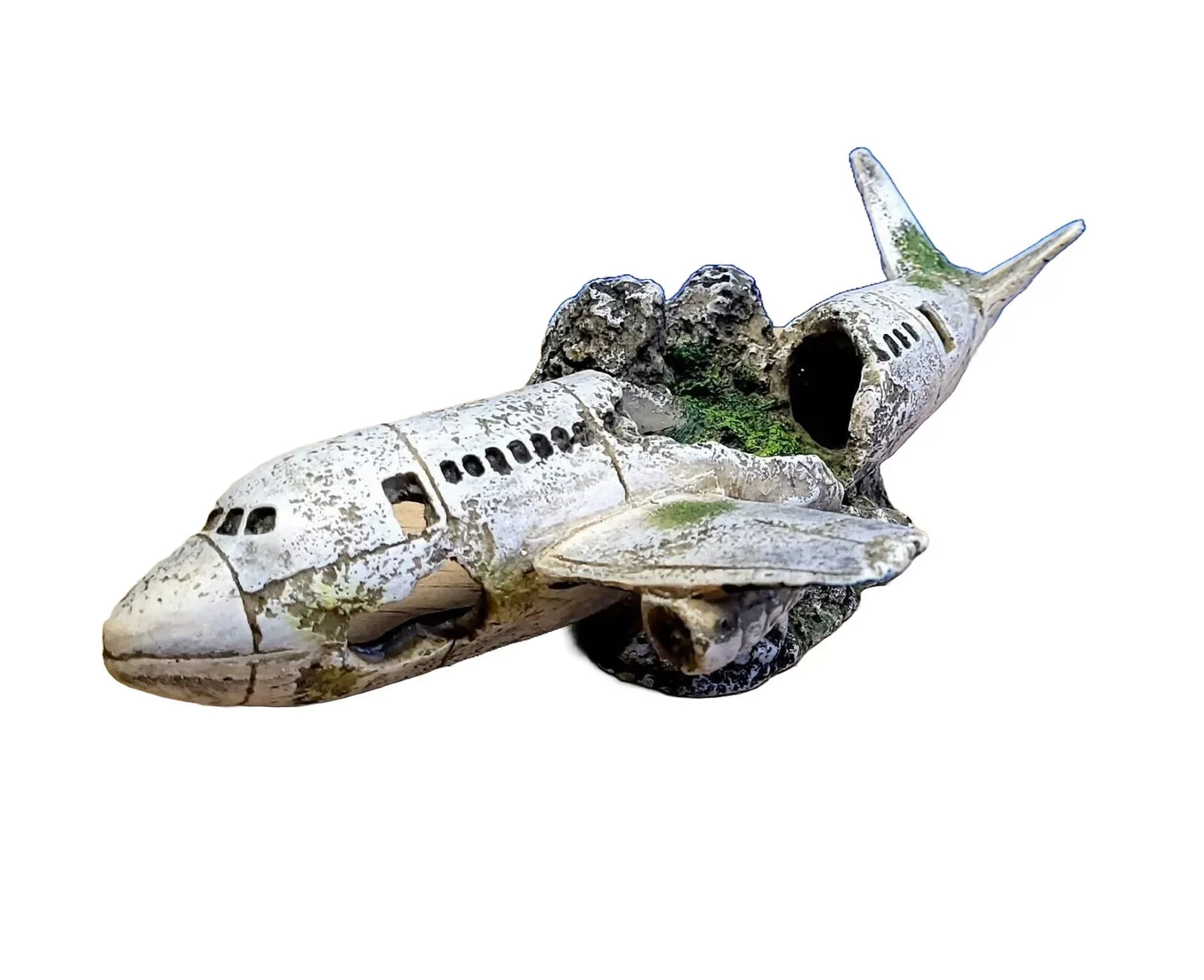 Classic Plane Wreckage 4446