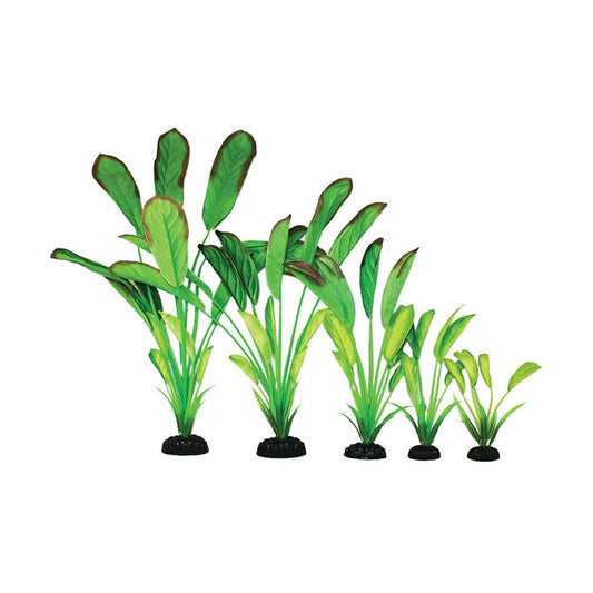 Hugo Cryptocorne Light Green Silk Aquascaping Aquarium Plant - Available In 2 Sizes