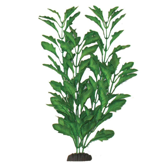 Hugo Polysperma Green Silk Aquascaping Aquarium Plant 40CM