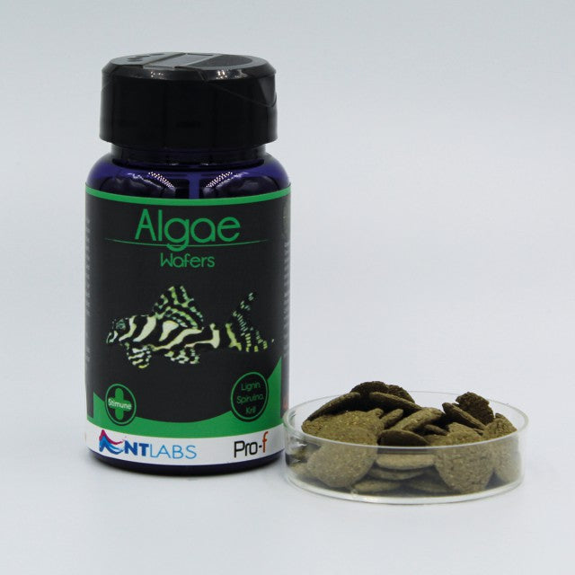 NT Labs Pro-f Algae Wafers 40g