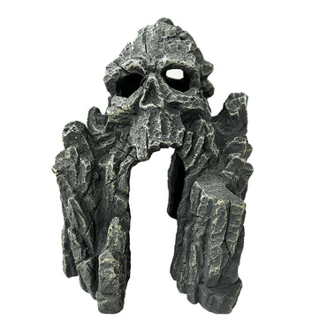 Grey Rock Form With Face