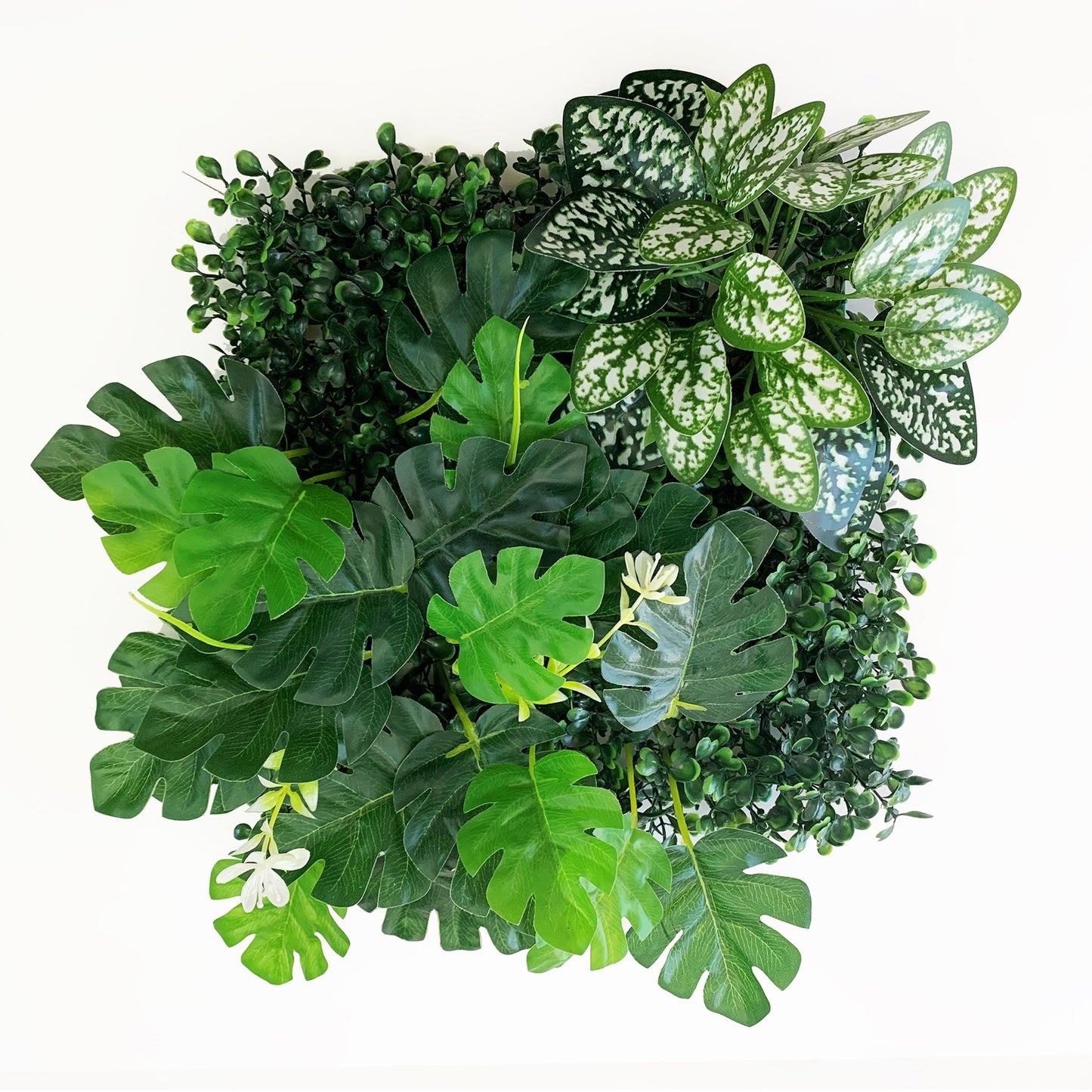 Betta Terra Monstera Plant Mat 25x25cm