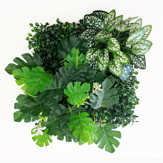 Betta Terra Monstera Plant Mat 25x25cm