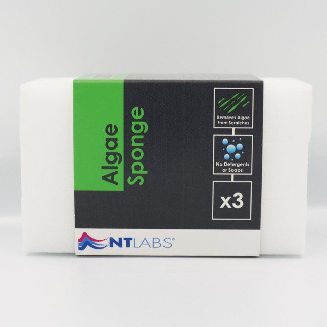 NT Labs ProCare Algae Sponge 3pcs