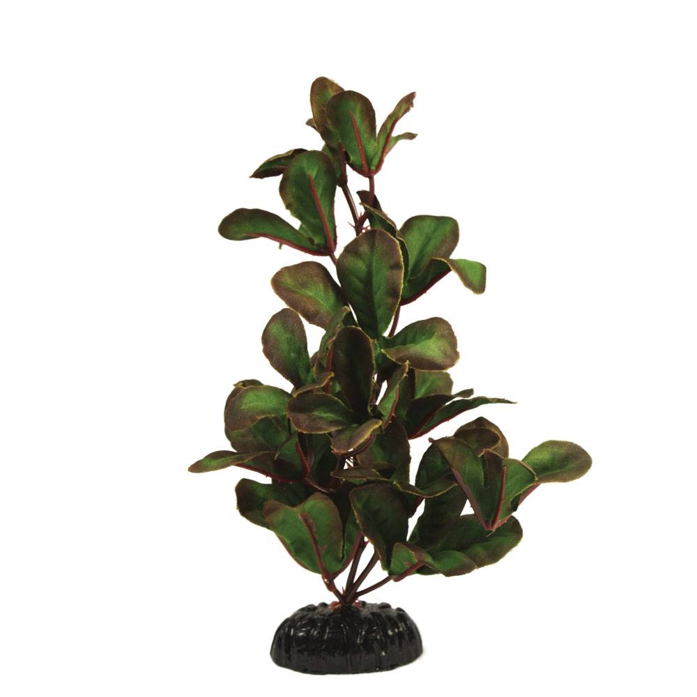 Hugo Ludwigia Green Silk Aquascaping Aquarium Plant - Available In 4 Sizes