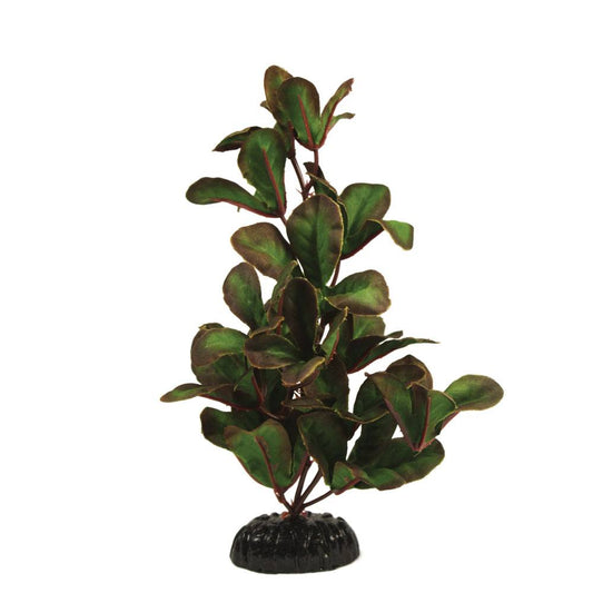 Hugo Ludwigia Green Silk Aquascaping Aquarium Plant - Available In 4 Sizes