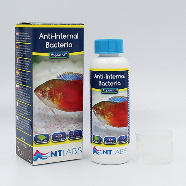 NT Labs Anti Internal Bacteria - Available In 2 Sizes