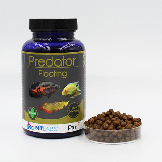 NT Labs Predator Floating 4.5mm 125g
