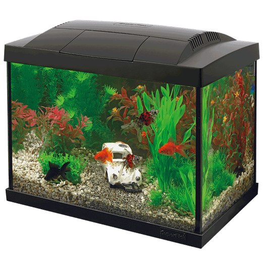 Superfish Starter Fish Tank - Available In 6 Sizes & 2 Colours