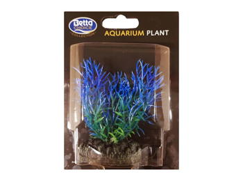Betta Choice 9cm Blue Fern