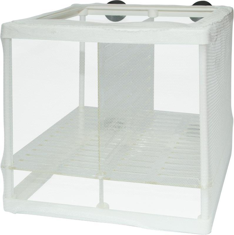 SuperFish Breeding Net