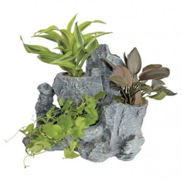 Superfish Scapers Rock Planty L