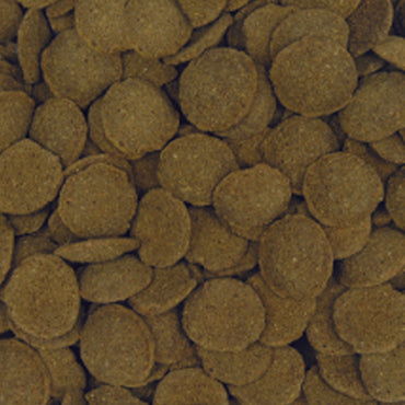 AQUARIAN® Algae Wafers - Available In 2 Sizes