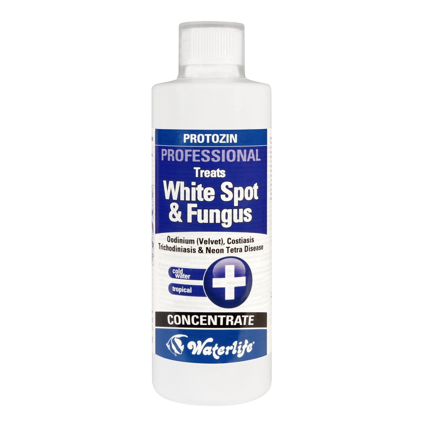 Waterlife Protozin - Available In 4 Sizes