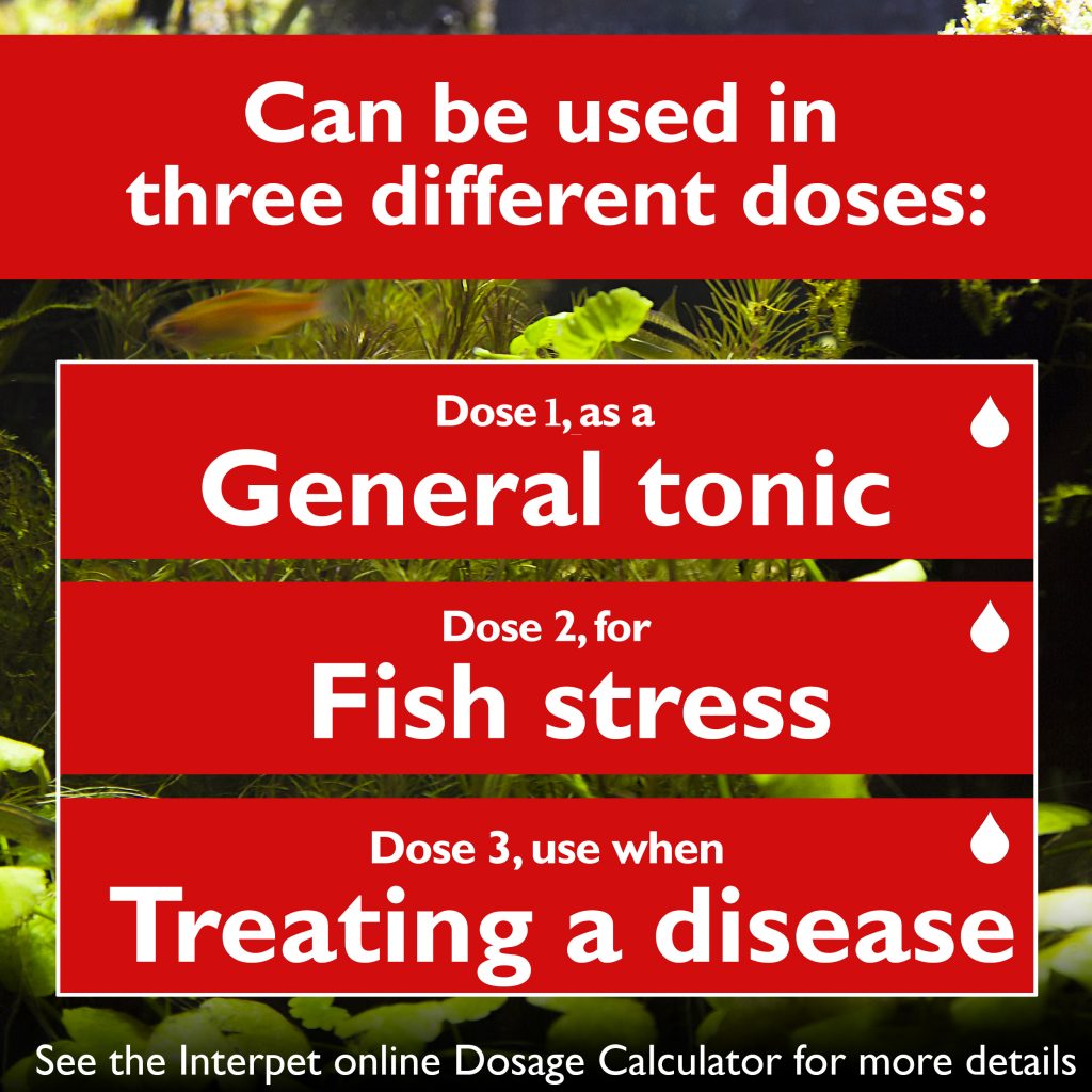 Interpet Aqualibrium First Aid Salt – 780g
