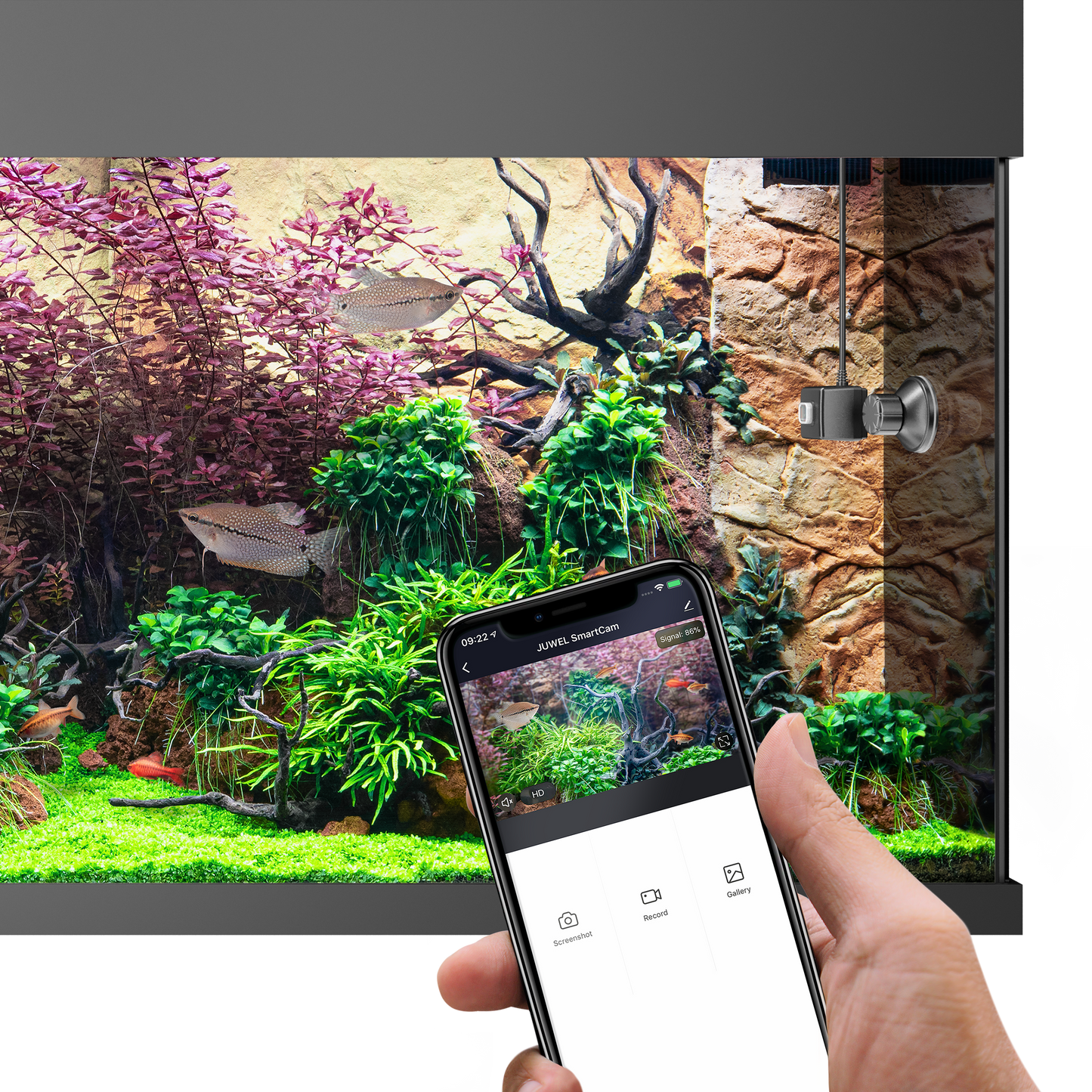 Juwel Smartcam