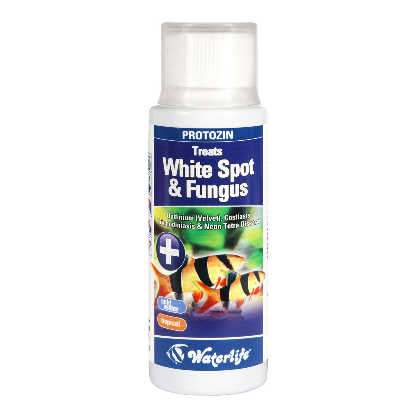 Waterlife Protozin - Available In 4 Sizes