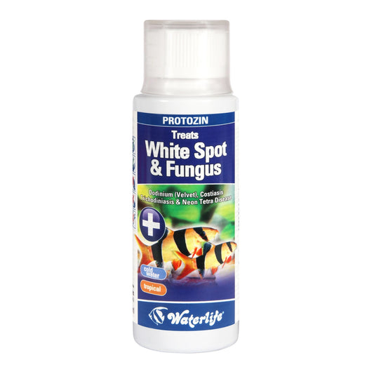Waterlife Protozin - Available In 4 Sizes