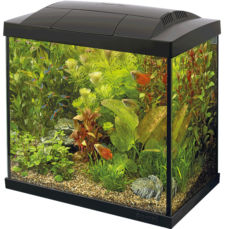 Superfish Starter Fish Tank - Available In 6 Sizes & 2 Colours