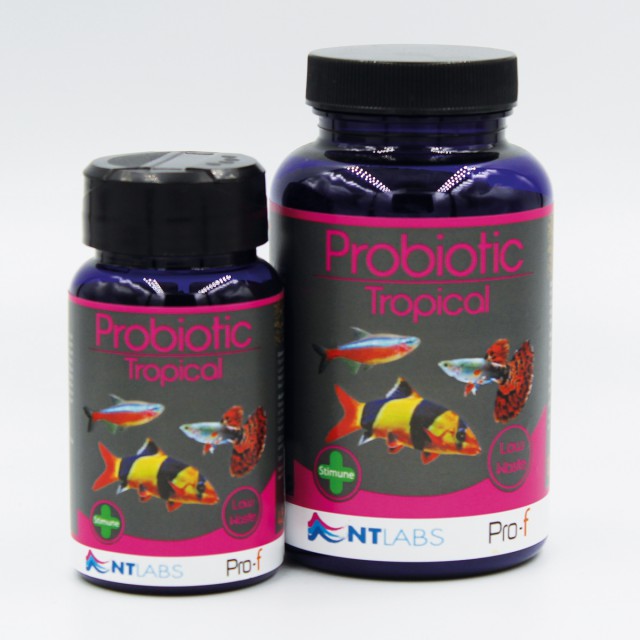 NT Labs Pro-f Probiotic Tropical - Available In 3 Sizes
