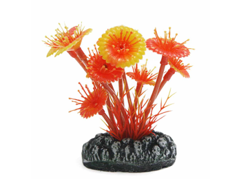 Betta Choice 9cm Red Mushroom