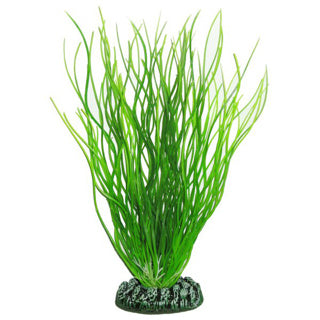 Betta Choice Plastic 20cm Green Plant