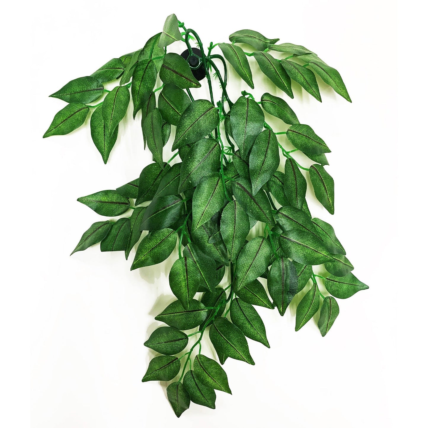 Betta Terra Green Terrarium Vine 60cm