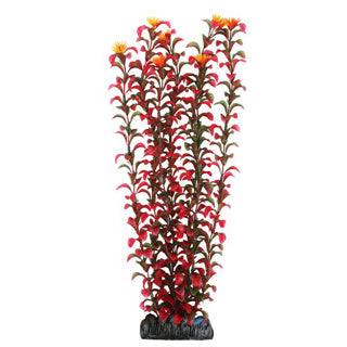 Betta Choice 40cm Silk Red Plastic Plant