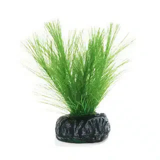 Betta Choice 10cm Silk Green Myriophtllum