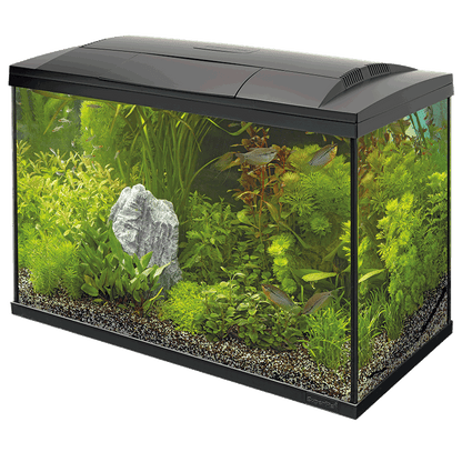 Superfish Starter Fish Tank - Available In 6 Sizes & 2 Colours