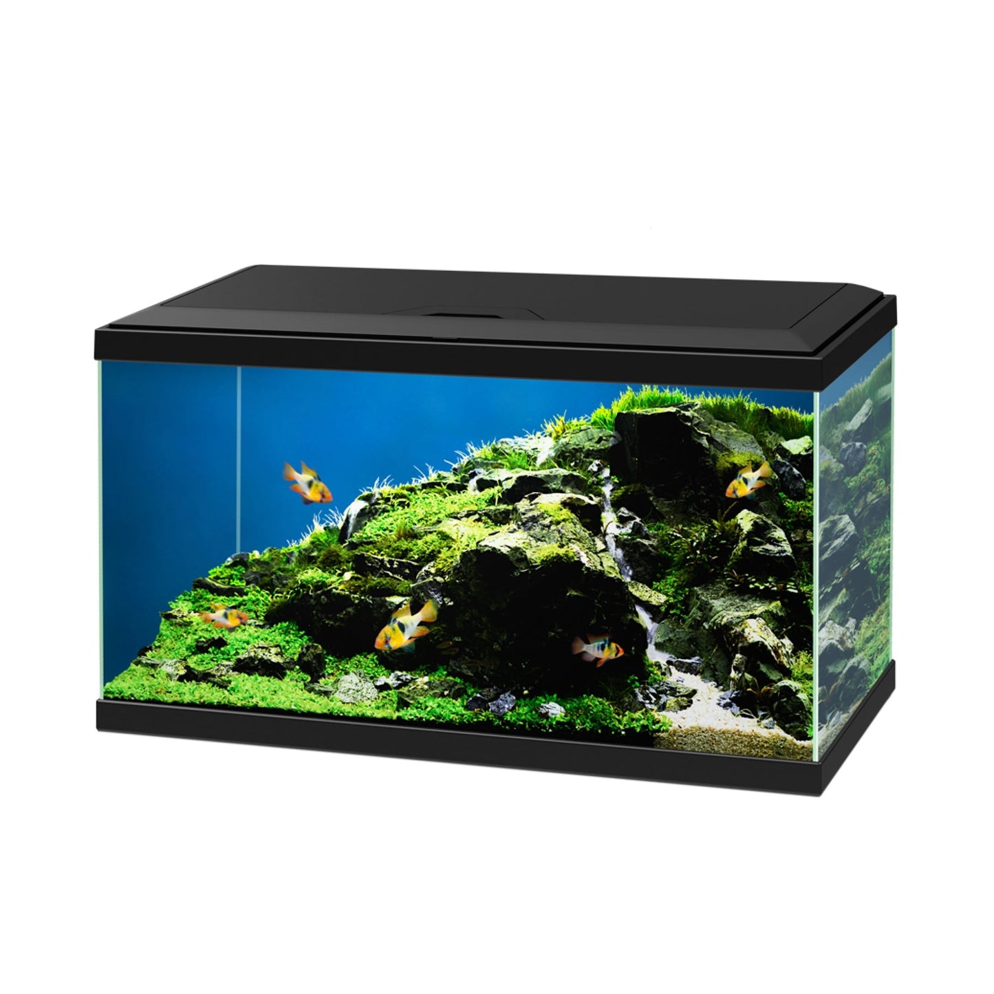 Ciano Aqua 60 LED Aquarium 58L With Black Stand