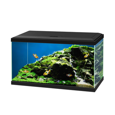 Ciano Aqua 60 LED Aquarium 58L With Black Stand