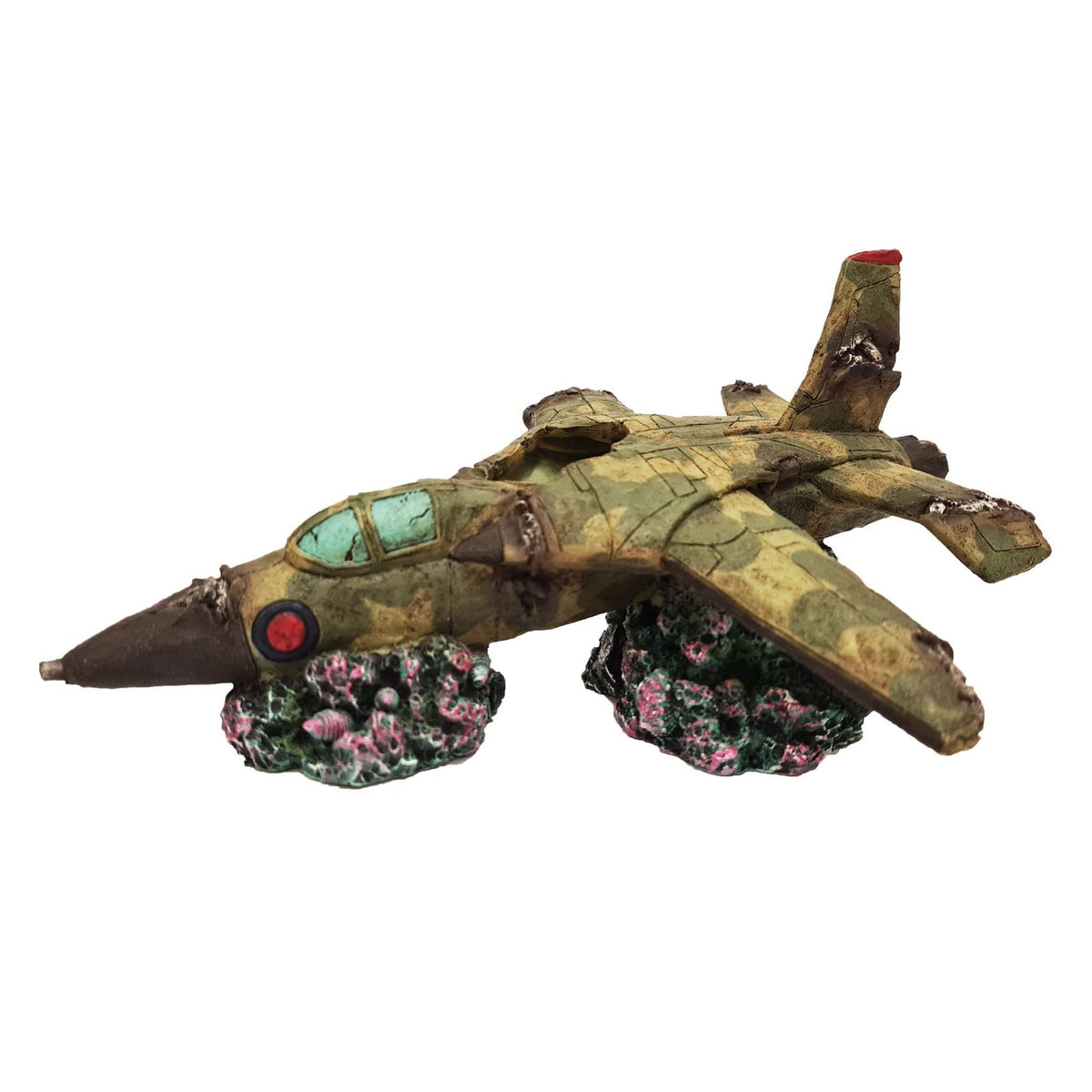 Betta Fighter Plane Wreck
