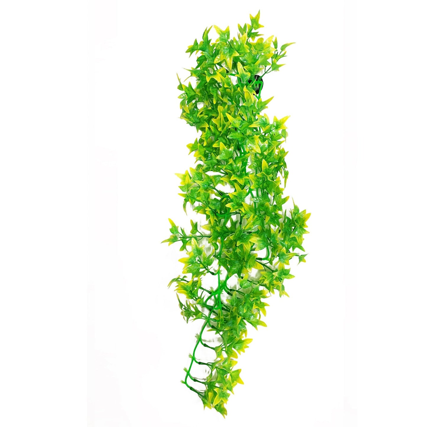Betta Terra Green/Yellow Terrarium Vine 70cm