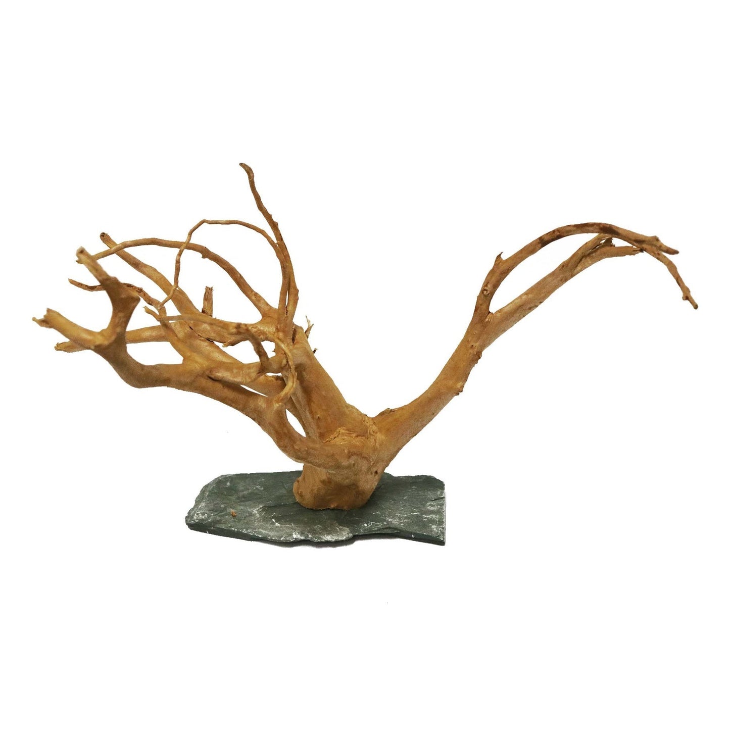 Wood Root With Slate Rock 30-45cm