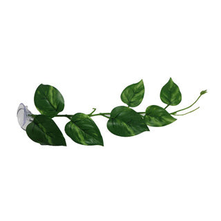 Betta Choice Leaves With Suction Cup