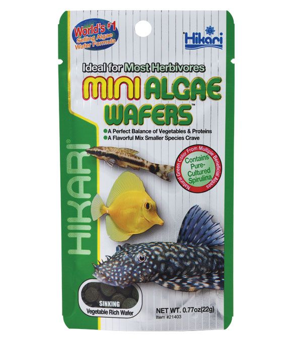 Hikari Algae Wafer Mini 22g