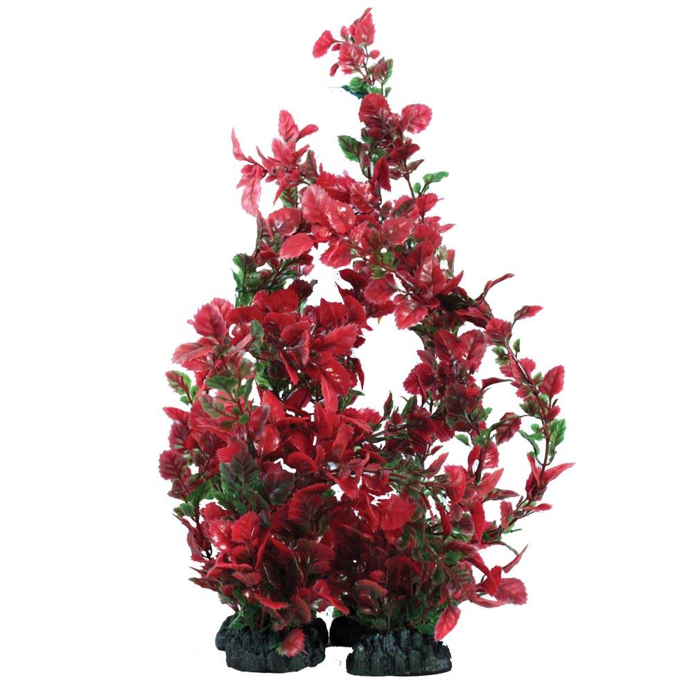 Hugo Kamishi Red / Green Rose Leaf Plant - Available In 3 Sizes
