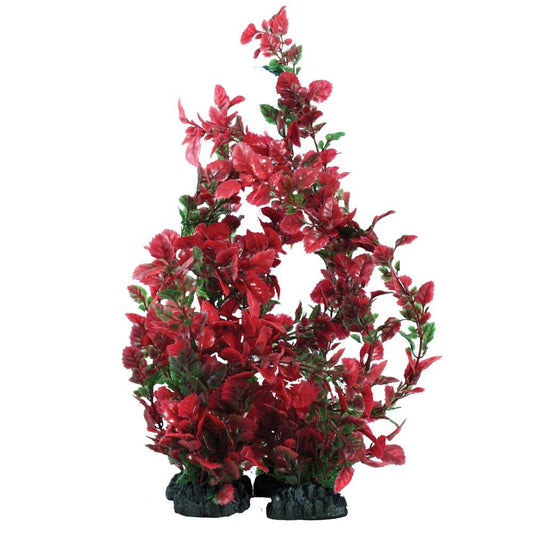 Hugo Kamishi Red / Green Rose Leaf Plant - Available In 3 Sizes