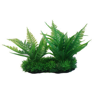 Betta Choice 6" Green Foreground Plant