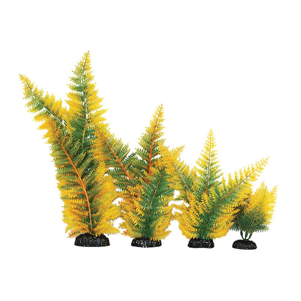 Hugo Kamishi Broad Leaf Fern Yellow Plant - Available In 2 Sizes