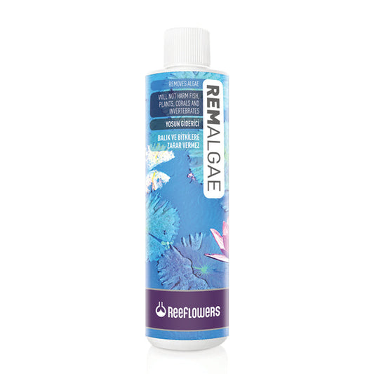 Reeflowers Remalgae - Available In 2 Sizes