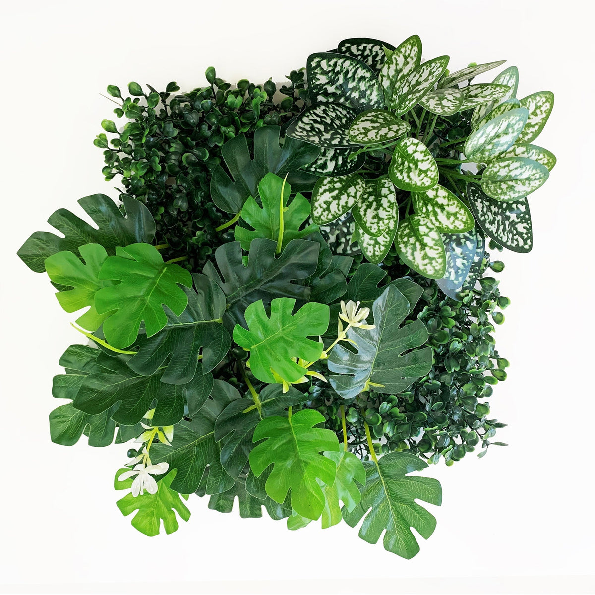 Betta Terra Monstera Plant Mat 25x25cm