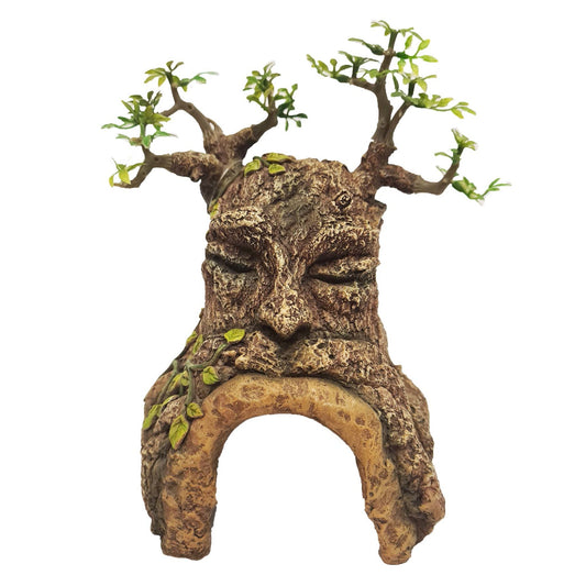 Betta Tree Cave With Face