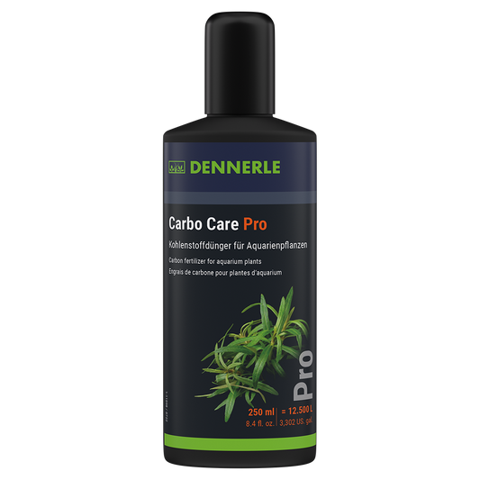 Dennerle Catappa Leaves 10pcs