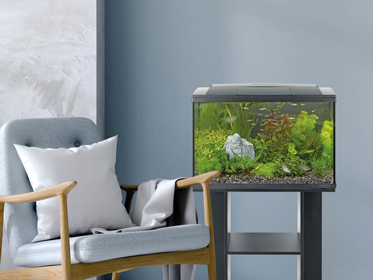 Superfish Starter Fish Tank - Available In 6 Sizes & 2 Colours